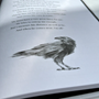 Be Like A Crow RPG: Journal - CKBLACRJO [5061039540085]