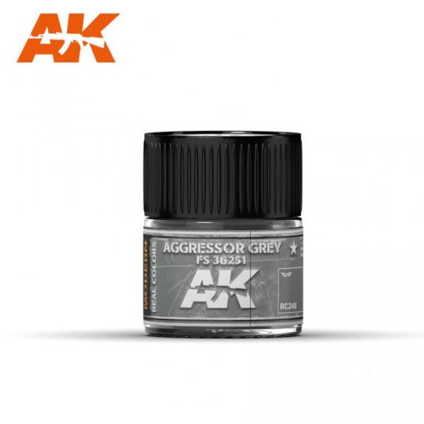 AK-Interactive Real Colors RC248:  Aggressor Grey FS 36251 