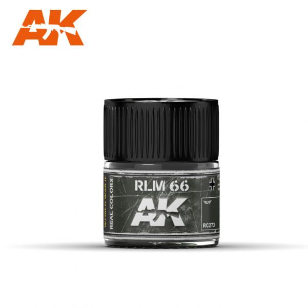 AK-Interactive Real Colors RC273: RLM 66  