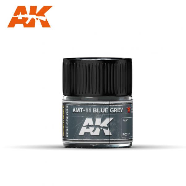 AK-Interactive Real Colors RC317: AMT-11 Blue Grey 