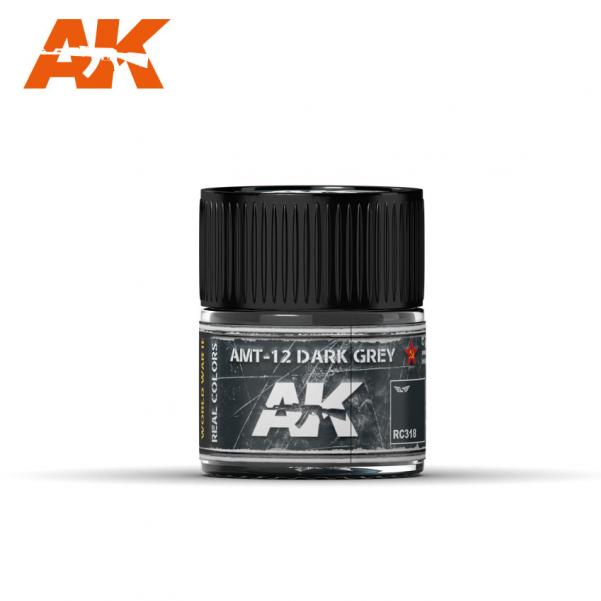 AK-Interactive Real Colors RC318: AMT-12 Dark Grey 