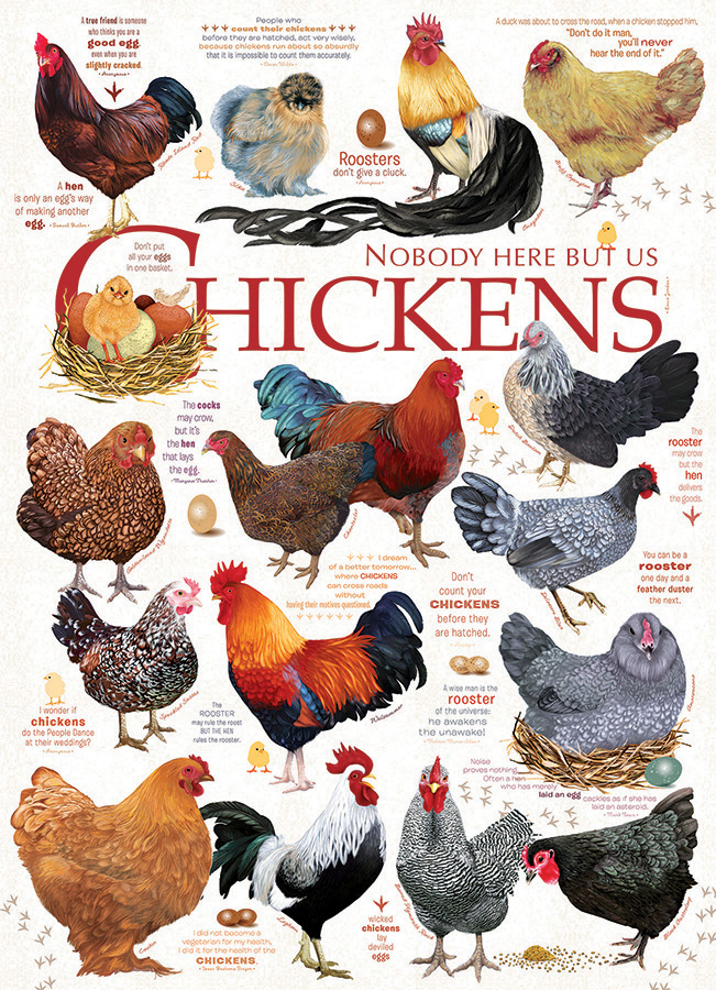 Cobble Hill Puzzles (1000): Chicken Quotes 