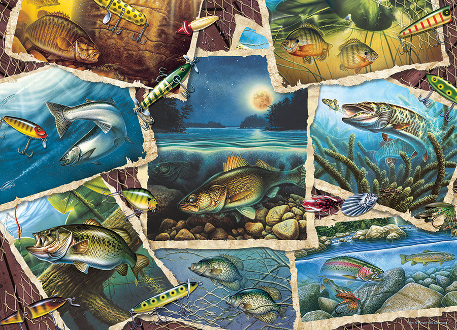 Cobble Hill Puzzles (1000): Fish Pics 