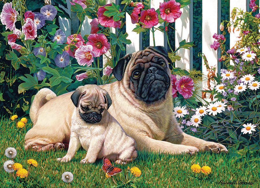 Cobble Hill Puzzles (1000): Pug Family 