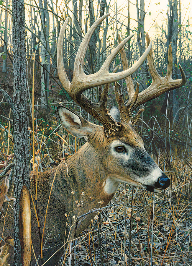 Cobble Hill Puzzles (1000): White-tailed Deer 