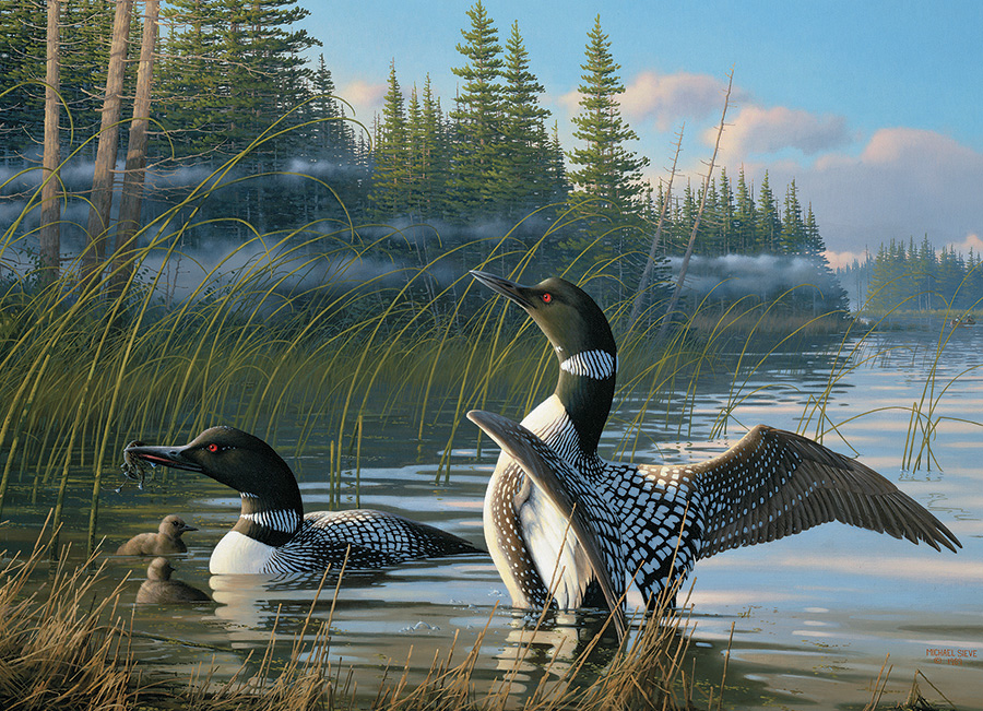 Cobble Hill Puzzles (1000): Common Loons 