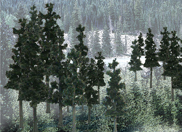 Woodland Scenics: Ready Made Trees: Pine- 12 Trees 