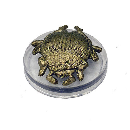 D&D Icons of the Realms 22:Fizbans Treasury of Dragons : #05 Hoard Scarab (C) 