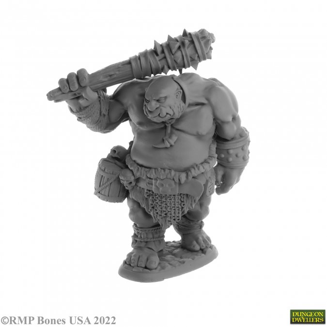 Dungeon Dwellers: Ogre Guard 