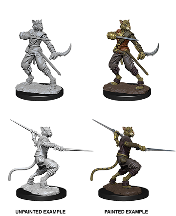 Dungeons & Dragons Nolzur’s Marvelous Miniatures: Tabaxi Rogue (Male) 