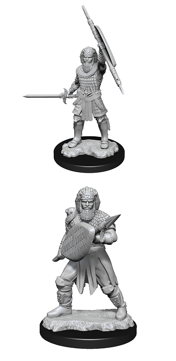 Dungeons & Dragons Nolzur’s Marvelous Miniatures: HUMAN FIGHTER MALE 