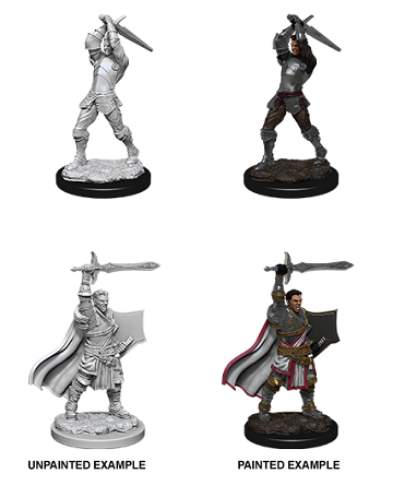 Dungeons & Dragons Nolzur’s Marvelous Miniatures: MALE HUMAN PALADIN 