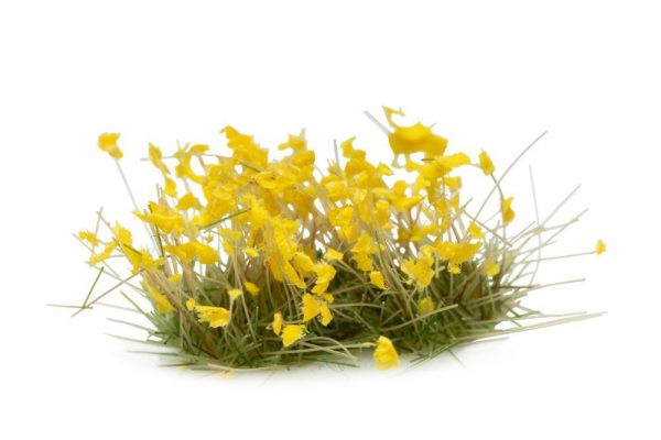 Gamers Grass: Yellow Flowers: Wild 