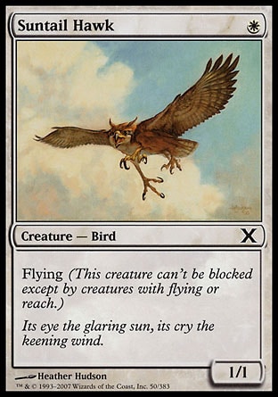 Magic: Tenth Edition 050: Suntail Hawk 
