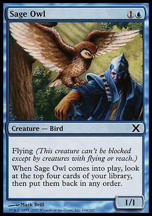 Magic: Tenth Edition 104: Sage Owl 