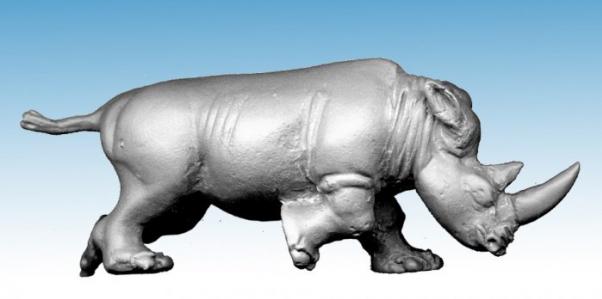 North Star Africa: Charging Rhino (1) 