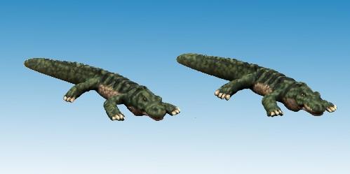 North Star Africa: Dwarf Crocodile (1) 