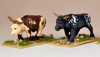 North Star Africa: Oxen (2) 