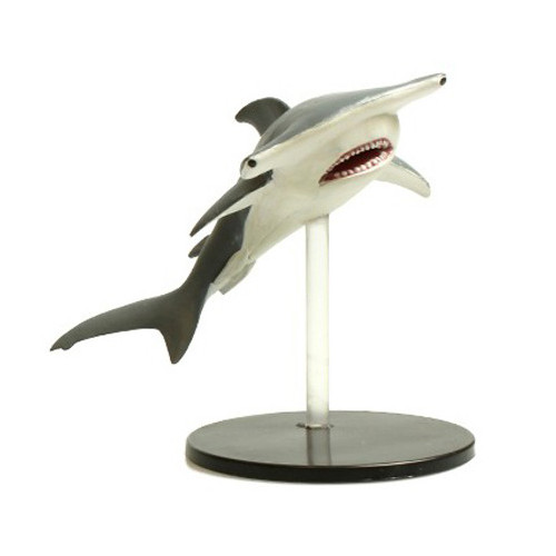 Pathfinder Battles: Skull & Shackles- #033 Hammerhead Shark (U) 