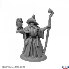 Reaper Legends: Amathor the Arch-Mage Human Wizard 