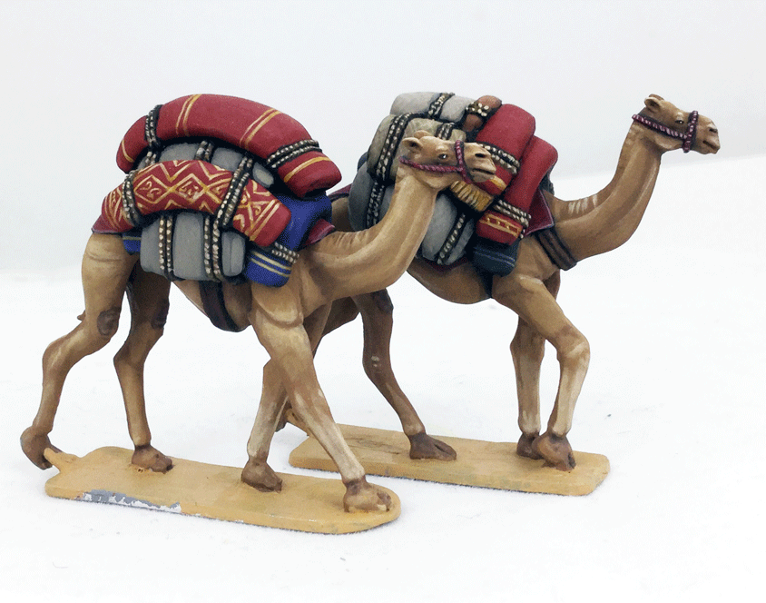 SAGA Scenics: Baggage Camels 