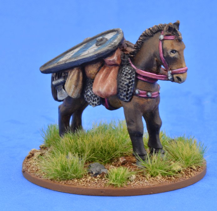 SAGA Scenics: Pack Pony (Kite Shield) 
