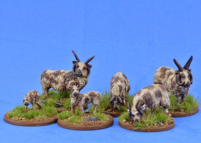 SAGA Scenics: Sheep (Manx Loaghtan) 