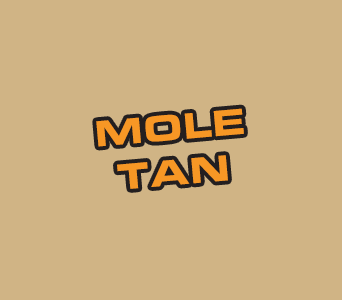 Secret Weapon Miniatures: Paint: Mole Tan 