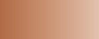 Vallejo Model Air Color 079: Flat Tan 