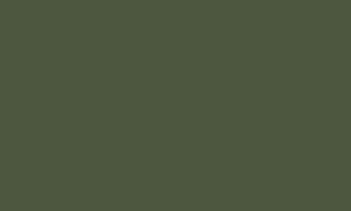 Vallejo Model Color 097: German Camouflage Dark Green 