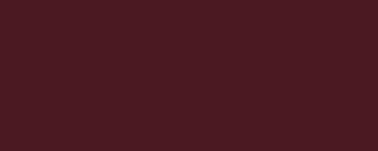 Vallejo Surface Primer (17ml): German Red Brown 