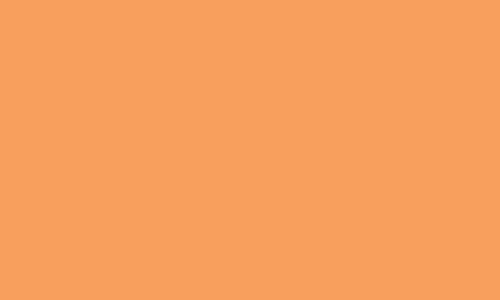 Vallejo Model Color 022: Light Orange 