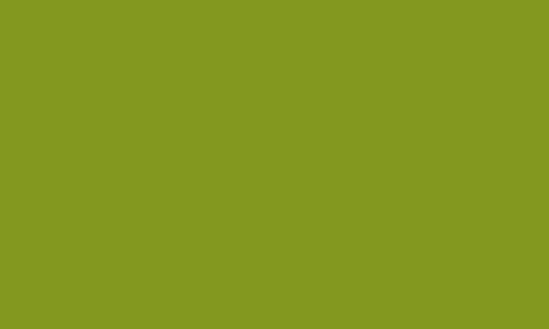 Vallejo Model Color 080: German Camouflage Bright Green 