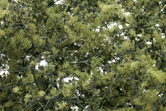 Woodland Scenics: Fine Leaf Foliage- Olive Green 