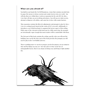 Be Like A Crow RPG: Crowthulhu Setting - CKRPGBLACRX1 [9781803521732]