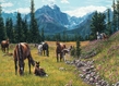Cobble Hill Puzzles (1000): Horse Meadow - 80113 [625012801133]