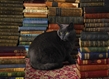 Cobble Hill Puzzles (1000): Library Cat  - 80124 [625012801249]