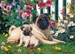 Cobble Hill Puzzles (1000): Pug Family - 80132 [625012801324]