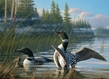 Cobble Hill Puzzles (1000): Common Loons - 80107 [625012801072]