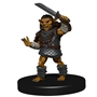 D&amp;D Icons of the Realms Monster Warbands: Goblin Warband - 96047 [634482960479]