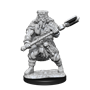 Dungeons &amp; Dragons Nolzur’s Marvelous Miniatures: HUMAN BARBARIAN MALE - 90224 [634482902240]