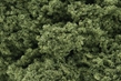 Woodland Scenics: Foliage Clusters- Light Green - WS57 [724771000570]