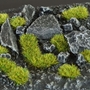Gamers Grass: Moss 2mm Small - GGRGG2-MS [738956787828]