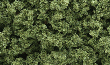 Woodland Scenics: Bushes- Light Green (Small Bag) - WS145 WSCFC145 [724771001454]