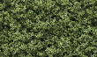 Woodland Scenics: Underbrush- Light Green (Small Bag) - WS135 WSCFC135 [724771001355]