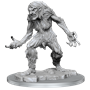 Dungeons &amp; Dragons Nolzur’s Marvelous Miniatures: Ice Troll Female - 90425 [634482904251]