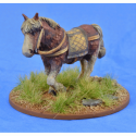 SAGA Scenics: Riding Pony 