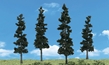 Woodland Scenics: Scene-A-Rama: 4 Conifer Trees  (4" - 6" ) - WS4151 [724771041511]