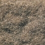 Woodland Scenics: Static Grass Flock- Burnt Grass (32oz Shaker) - WSCFL633 WS633 [724771006336]