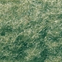 Woodland Scenics: Static Grass Flock- Medium Green (32oz Shaker) - WS635 WSCFL635 [724771006350]
